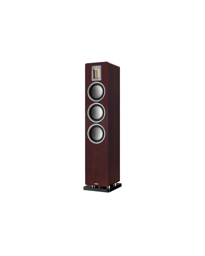 Audiovector.QR5SE.Walnut.1.jpg