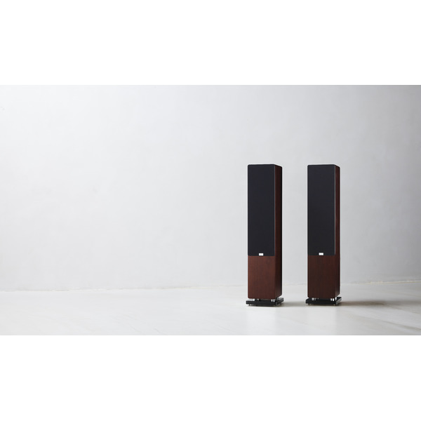 Audiovector.QR5SE.Walnut.12.jpg