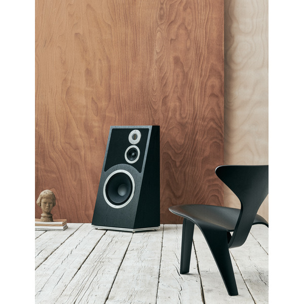 Audiovector.Trapeze.BlackAsh.8.jpg