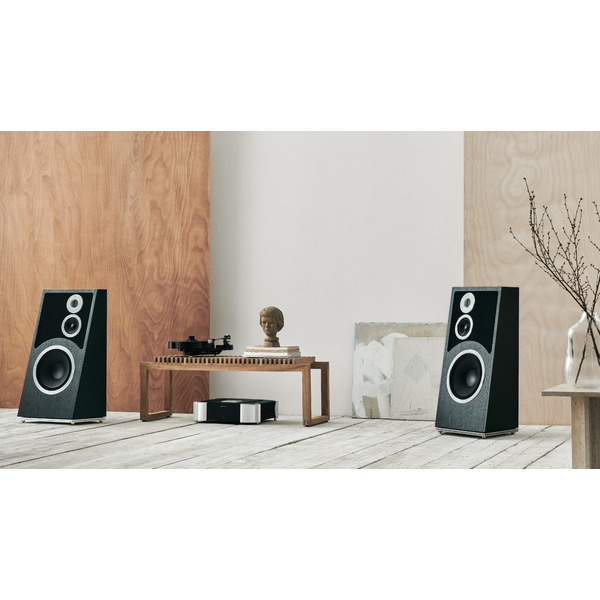 Audiovector.Trapeze.BlackAsh.10.jpg