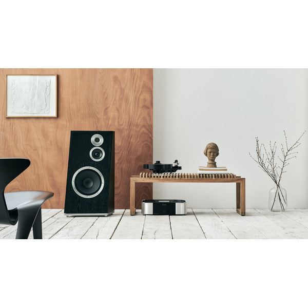 Audiovector.Trapeze.BlackAsh.11.jpg