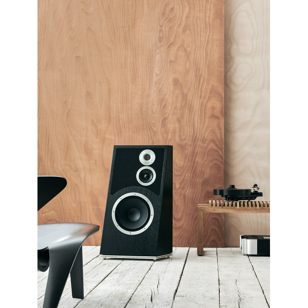 Audiovector.Trapeze.BlackAsh.9.jpg