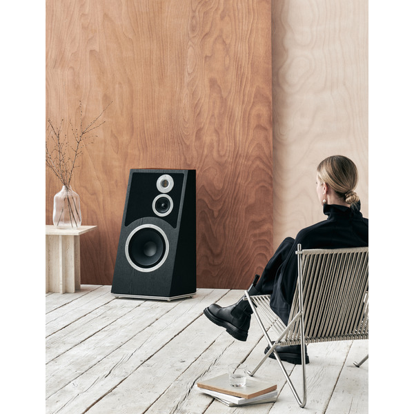 Audiovector.Trapeze.BlackAsh.7.jpg