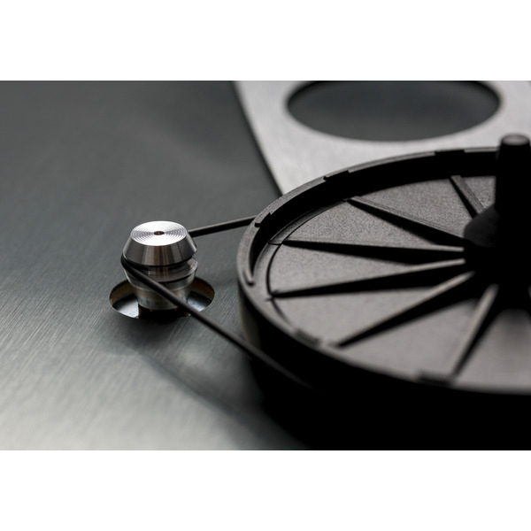 RegaPL3_RS_custom_pulley_3860.jpg