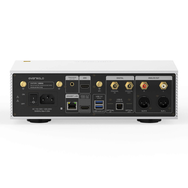 Eversolo-DMP-A6-Master-Edition-Gen-2-Zilver-Netwerkspeler-Achterkant-1.jpg
