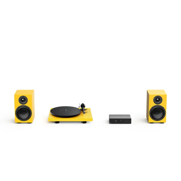 CAS-2-yellow-1.png