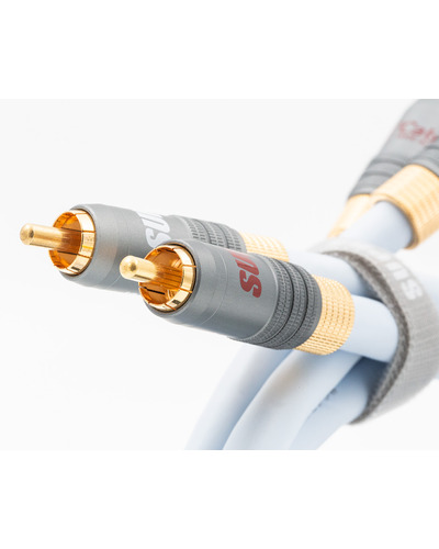 Xl-annorum-RCA_closeup.jpg