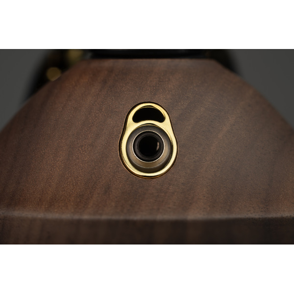 Mezeaudio99classicsV2Walnutgold20.jpg