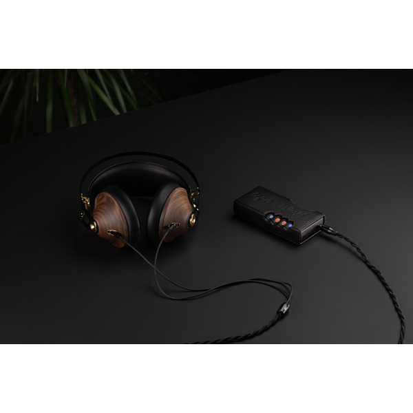 Mezeaudio99classicsV2Walnutgold28.jpg