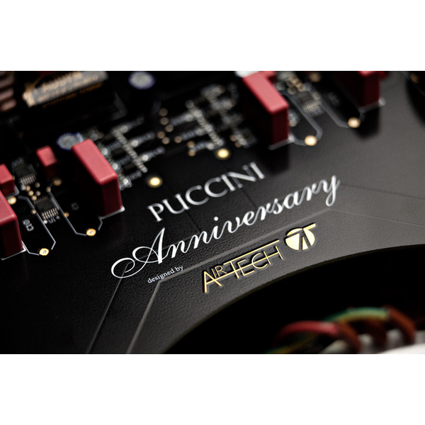 audioanaloguepucchinizilver4.jpg
