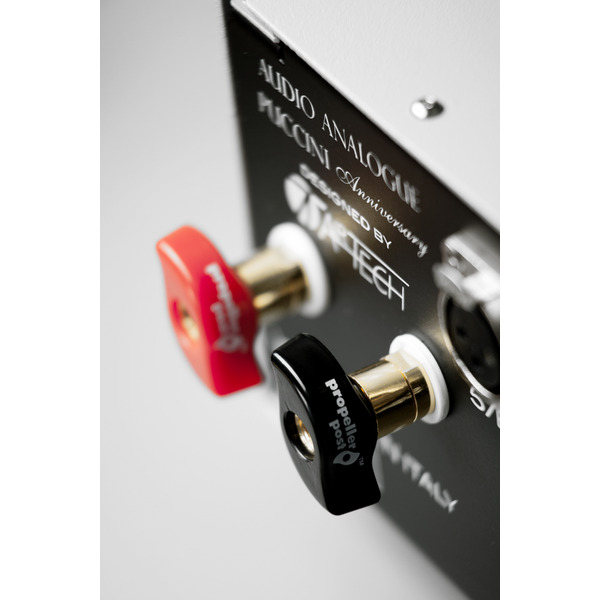 audioanaloguepucchinizilver5.jpg