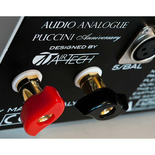 audioanaloguepucchinizilver24.jpg