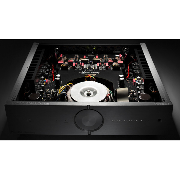 audioanaloguepucchini1.jpg