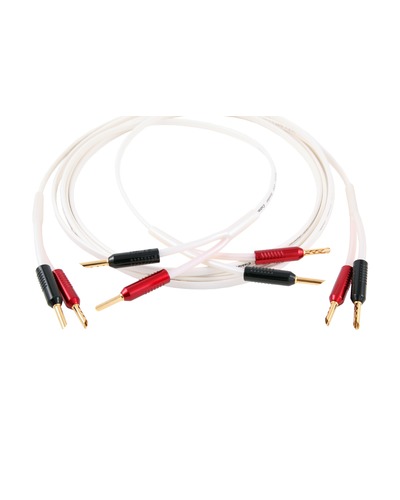 elementSpeaker2.0.jpg